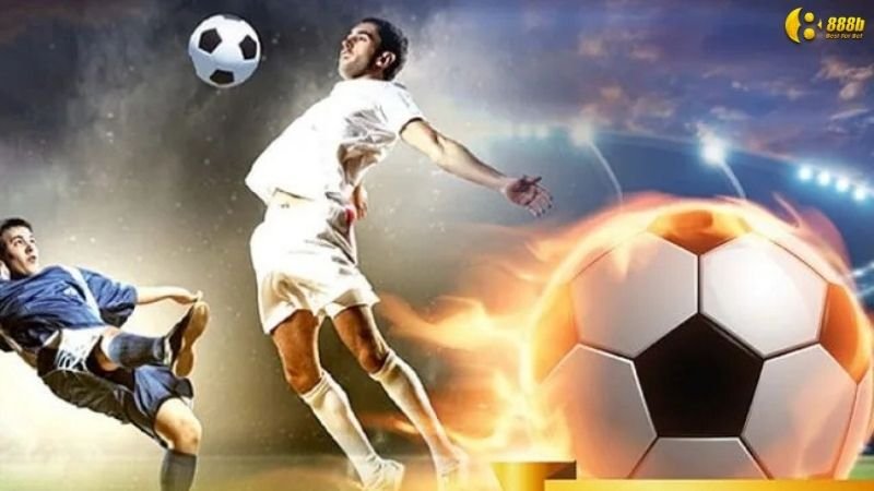 Sảnh Thể Thao AG Sports - Cá Cược Toàn Cầu Mới Lạ 6 cam-nhan-ve-sanh-the-thao-ag-sports-tu-cuoc-thu-chuyen-nghiep